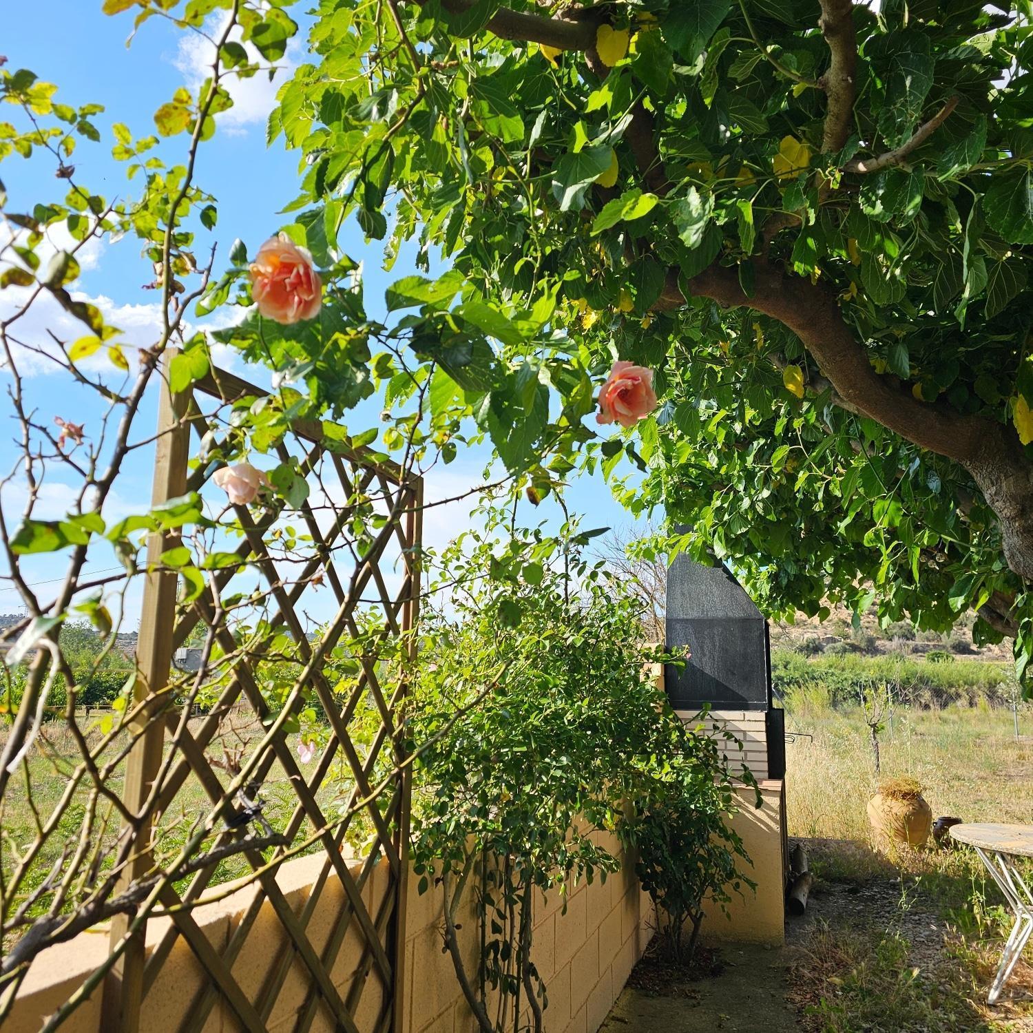 Chalet Marina Mazaleon Dış mekan fotoğraf